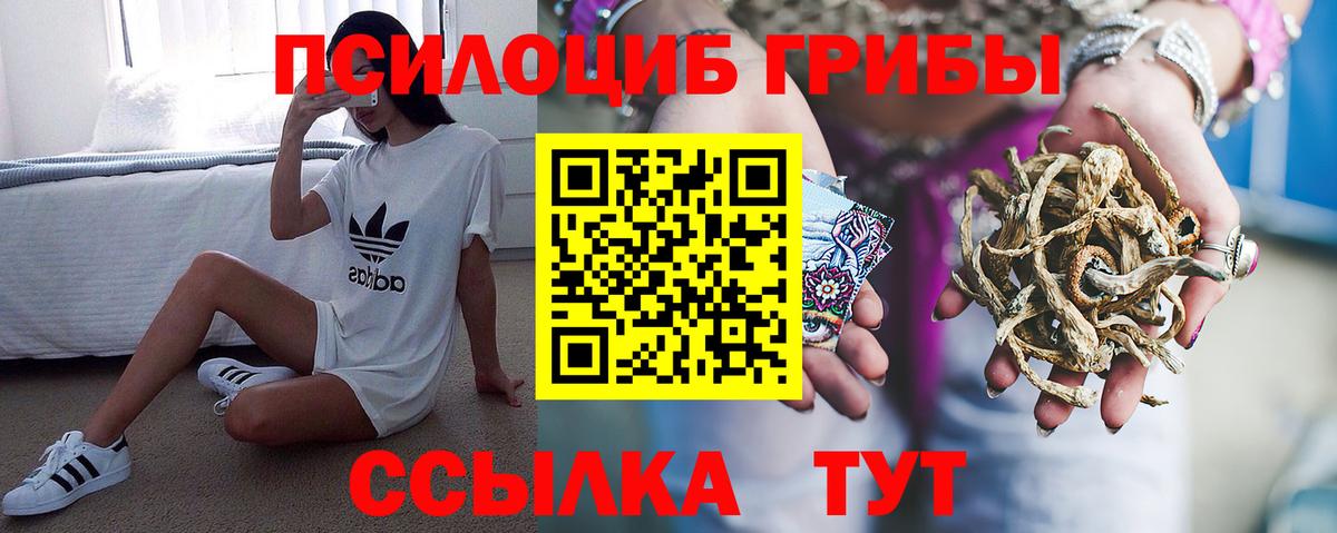 Галлюциногенные грибы Psilocybine cubensis  Вход с VPN  Галлюциногенные грибы мухоморы  купить наркоту  Александров 